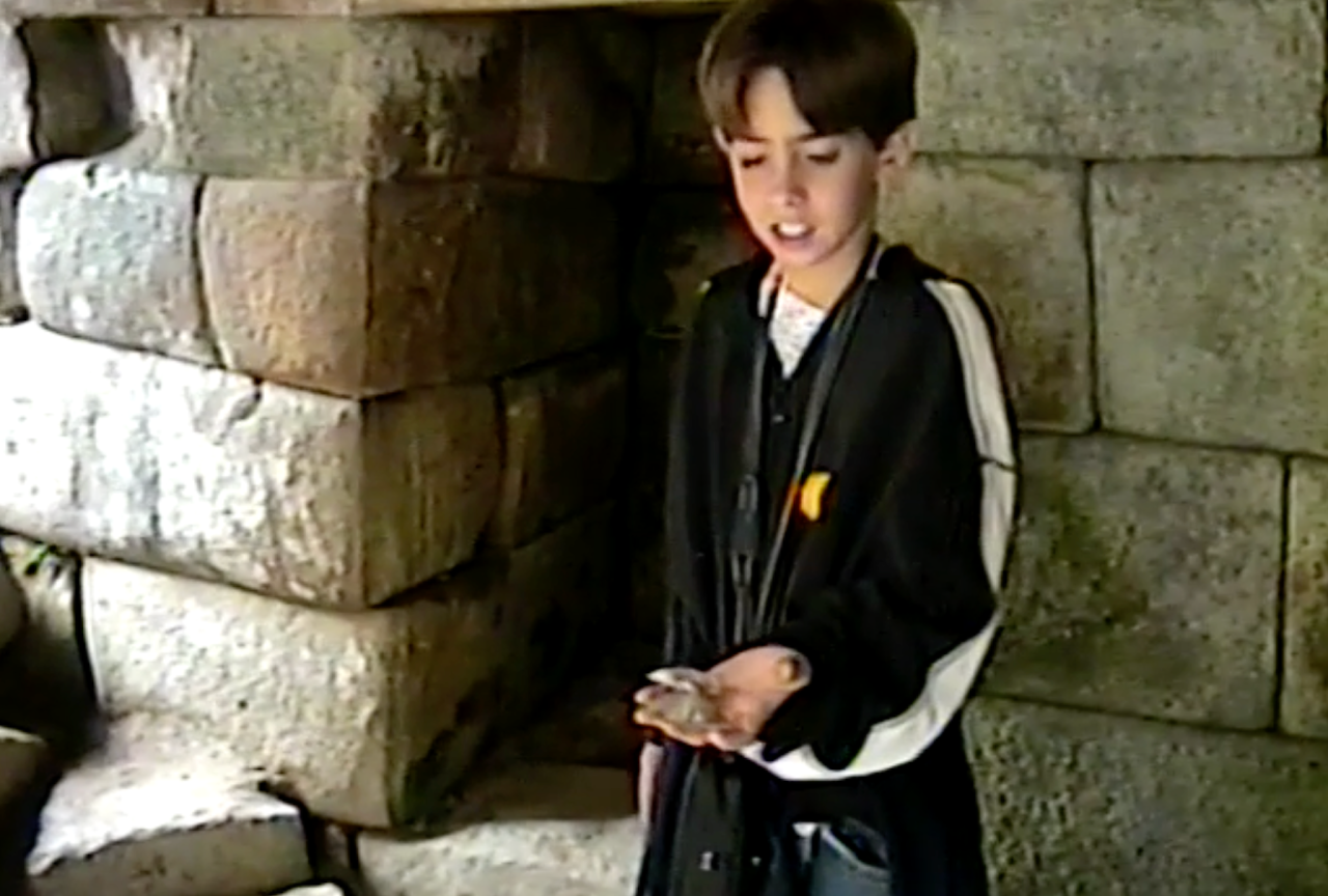 The Seashells Discovery