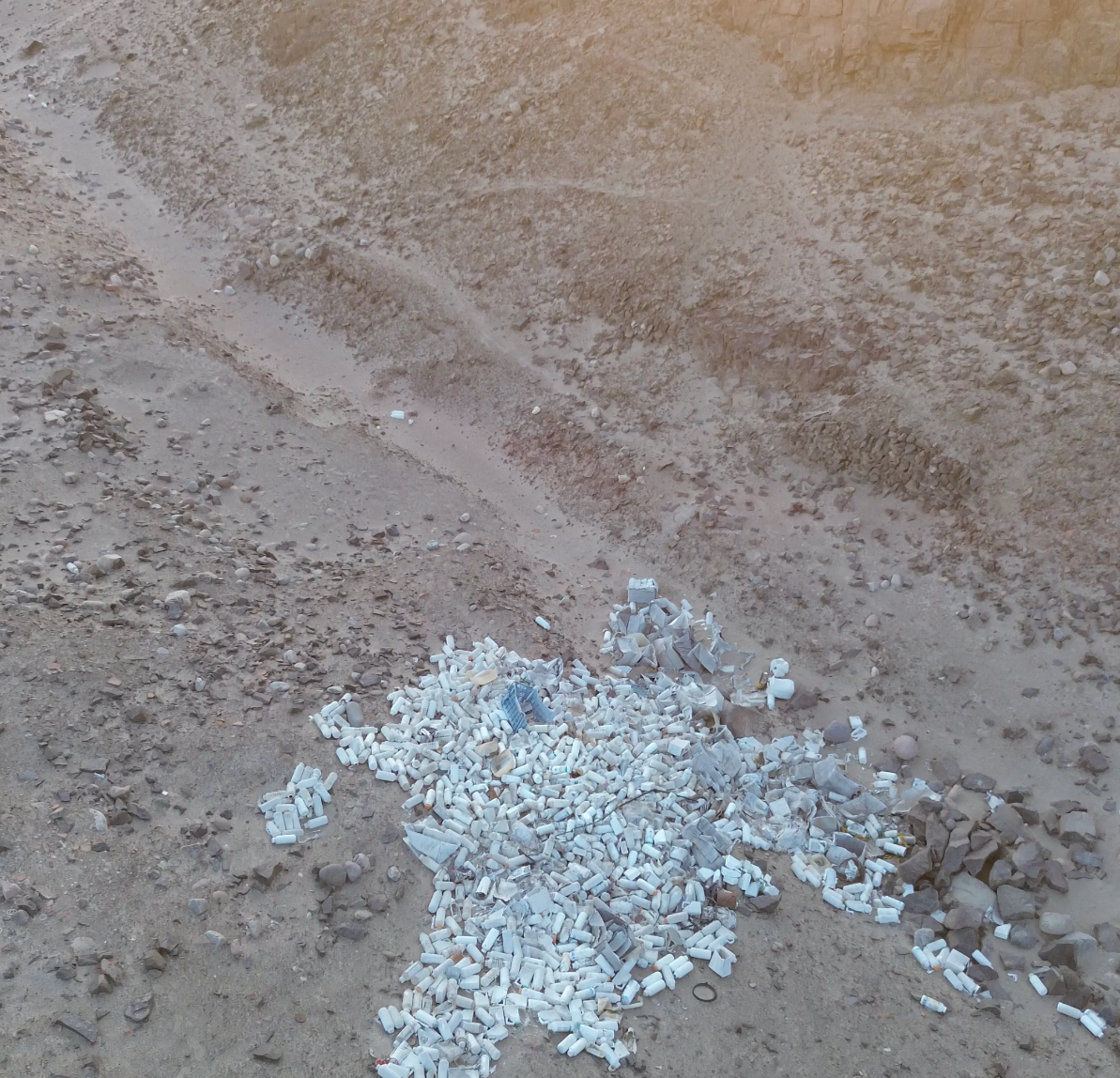 Trash Heap Devastation